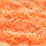 CARPRO DHYDRATE BOLD
