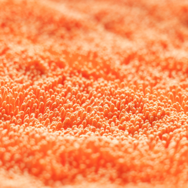 CARPRO DHYDRATE BOLD